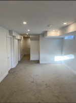 finished based with gray carpeting and pot lighting