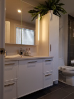 bathroom with vanity and tall cupboard